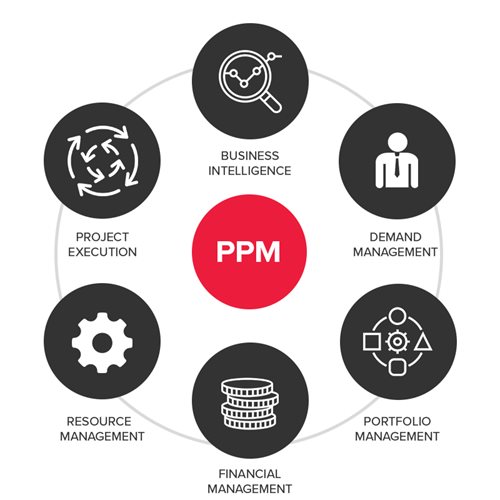 Project &Portfolio Management (PPM)_2